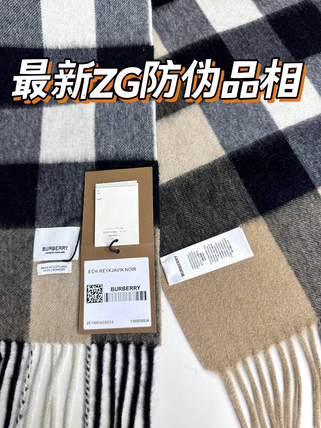 fe62e8a5c3d07cfeeec0a6f3dc81e179_1763978558_9739.jpg